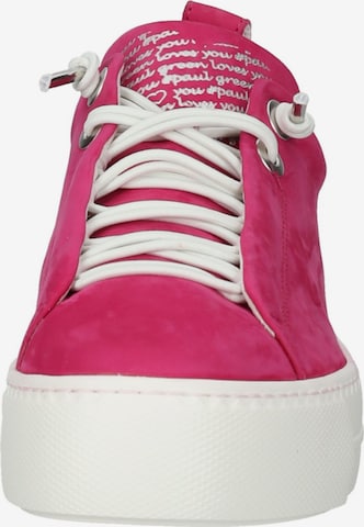 Paul Green Sneakers in Pink