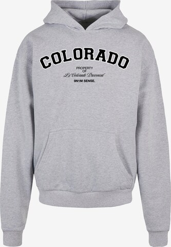 Sweat-shirt 'Colorado' 9N1M SENSE en gris : devant