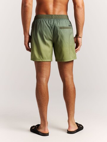 PROTEST Board Shorts 'PRTNorthaw' in Green