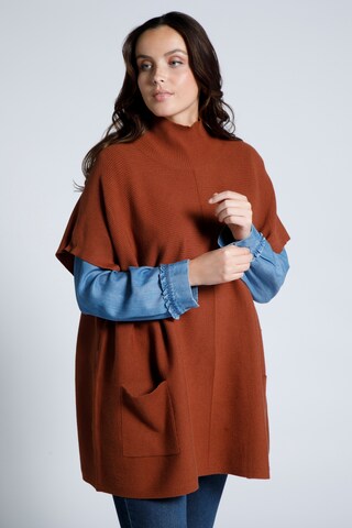 Ulla Popken Sweater in Brown: front