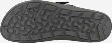 Mule 'Sierra' BIRKENSTOCK en noir