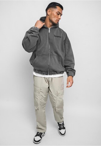 Dropsize Zip-Up Hoodie in Grey