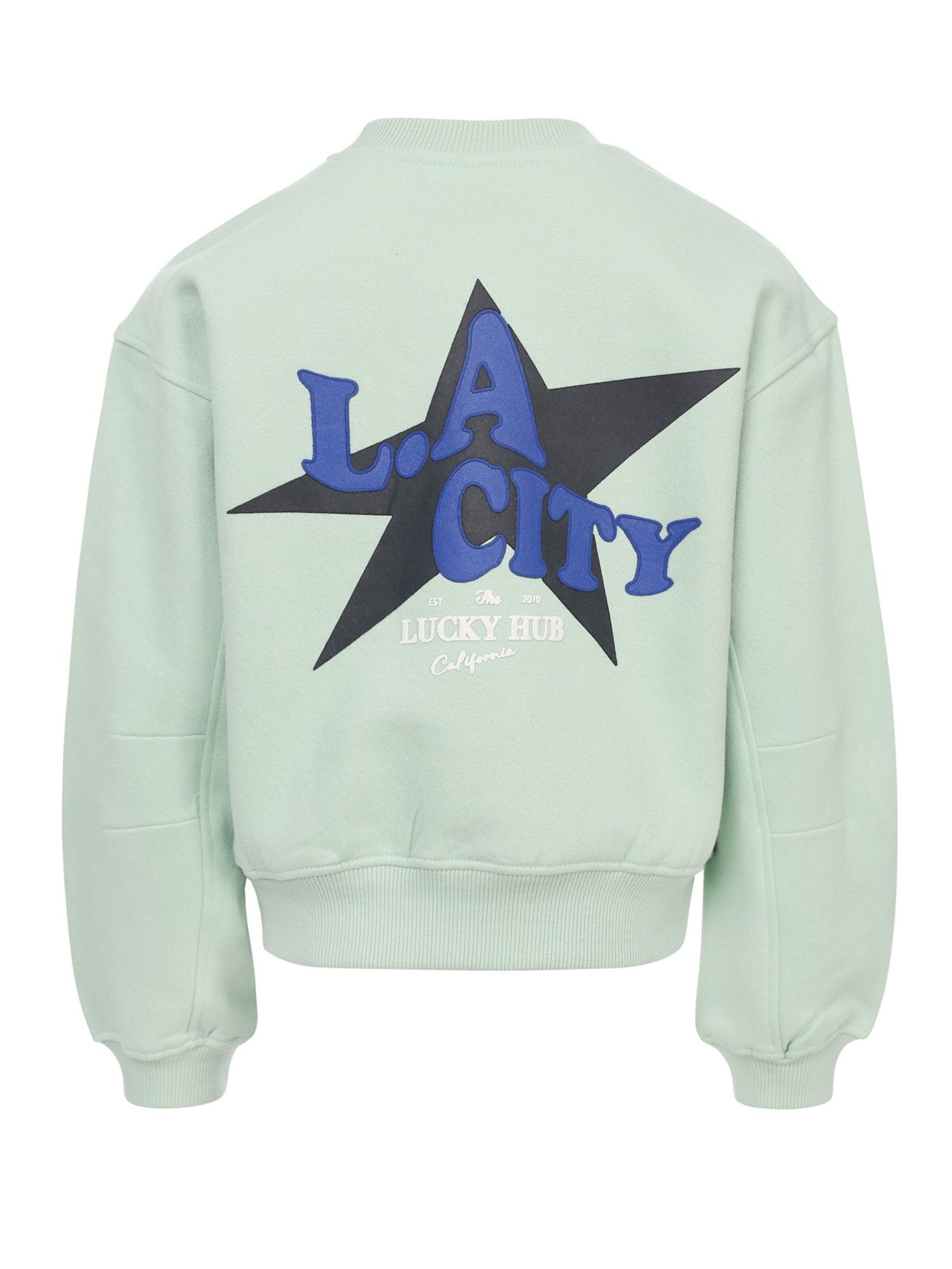 Looxs Revolution Sweatshirt in Groen