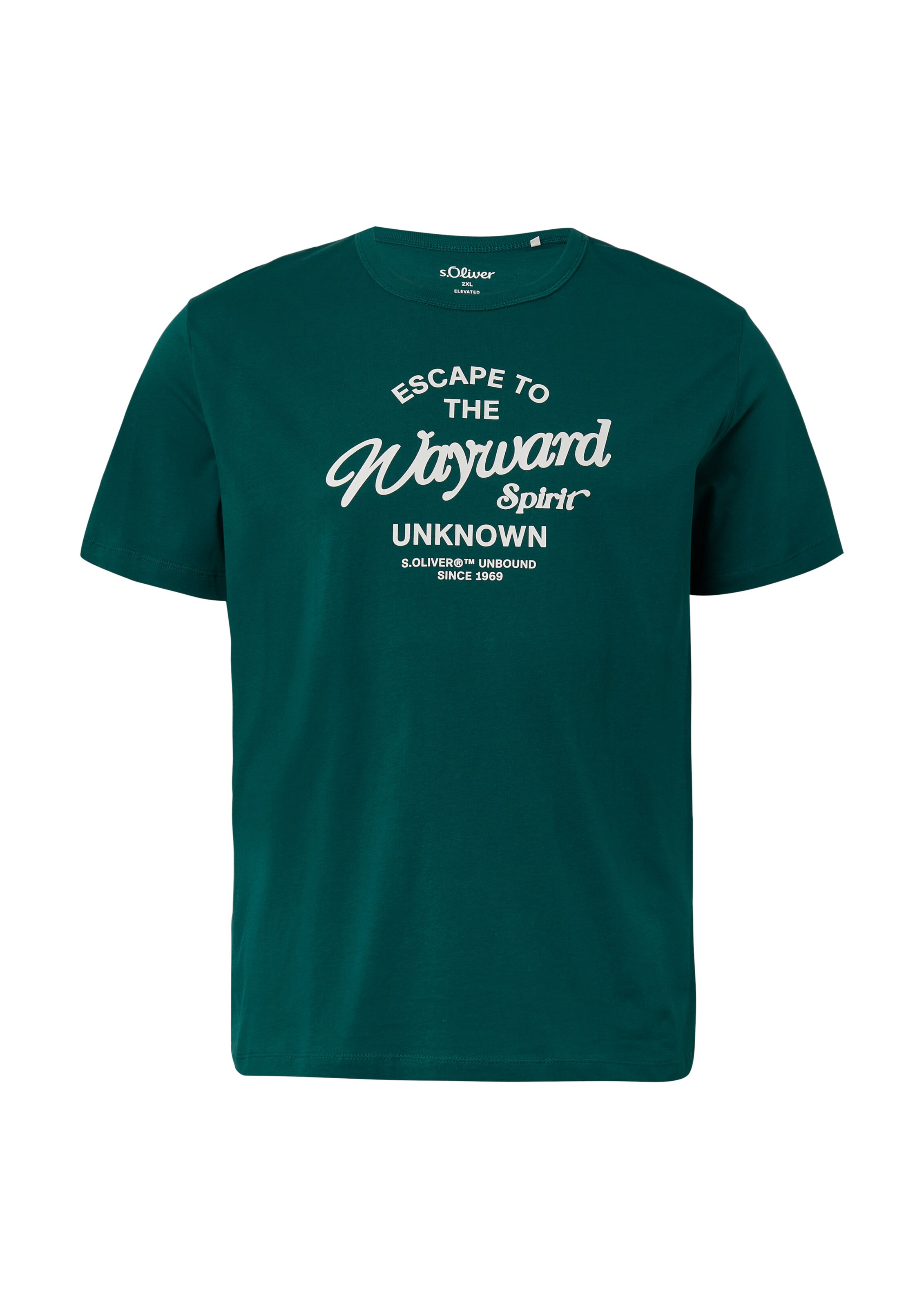 s.Oliver Men Big Sizes Shirt in Grün: Vorderseite