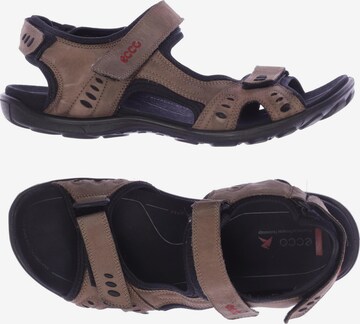 ECCO Sandalen 46 in Braun: predná strana