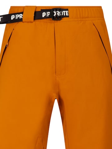 PROTEST Regular Sports trousers 'PRTLuton' in Brown