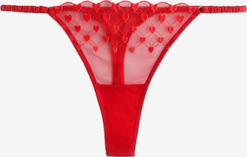 raudona Next Siaurikės: priekis