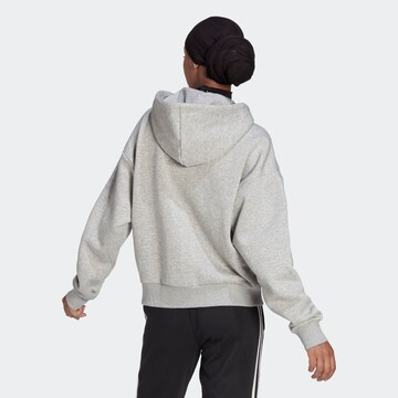 ADIDAS SPORTSWEAR Športová mikina so zipsom 'Essentials Pinstripe Block Fleece Loose Fit' - Sivá