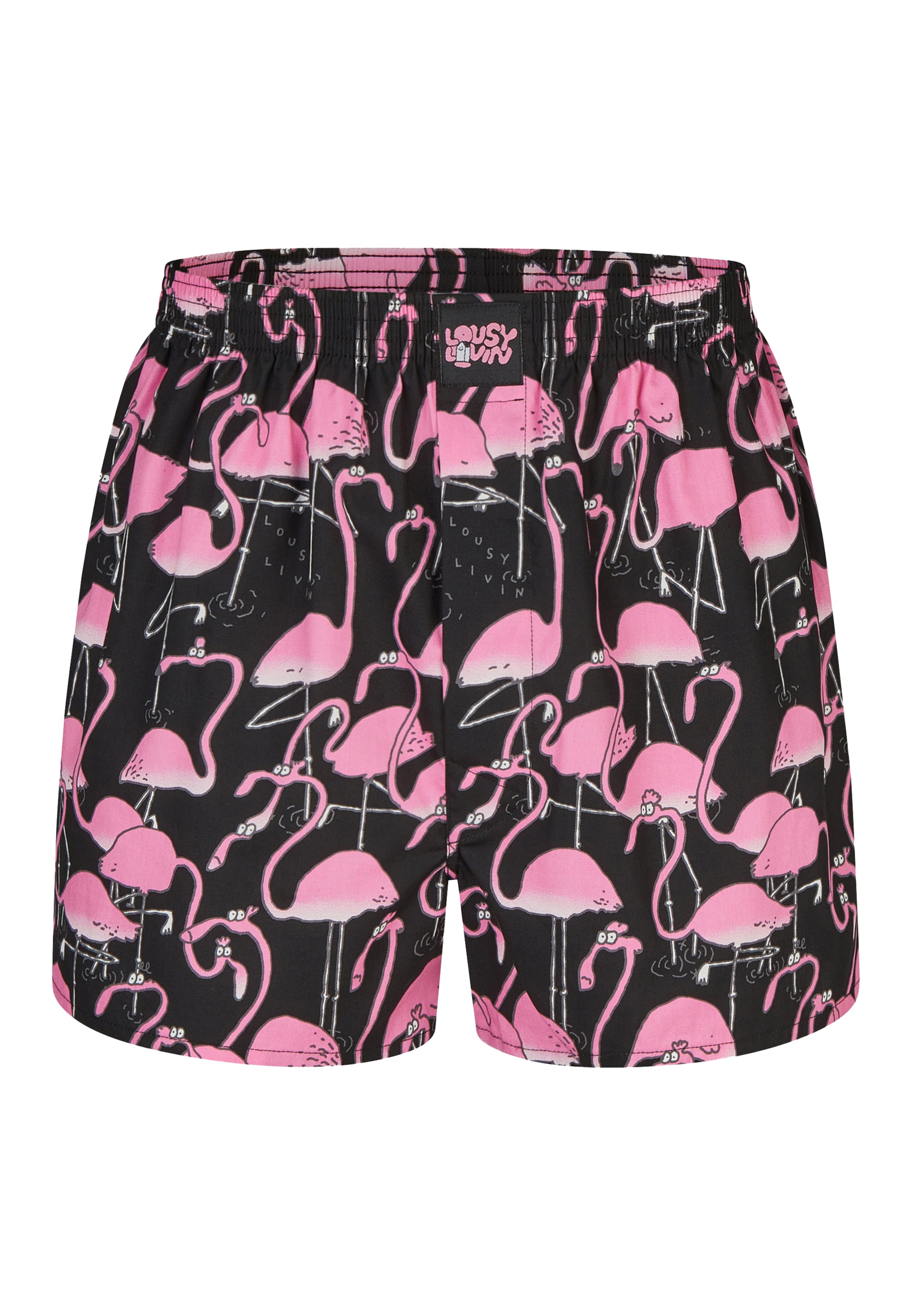 Boxers 'Greater Animals' Lousy Livin en bleu
