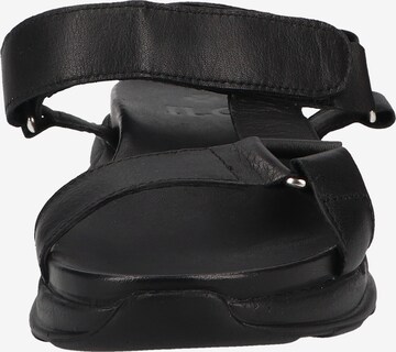 ILC Strap Sandals in Black