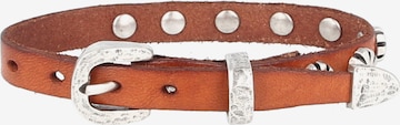 Campomaggi Bracelet in Brown: front