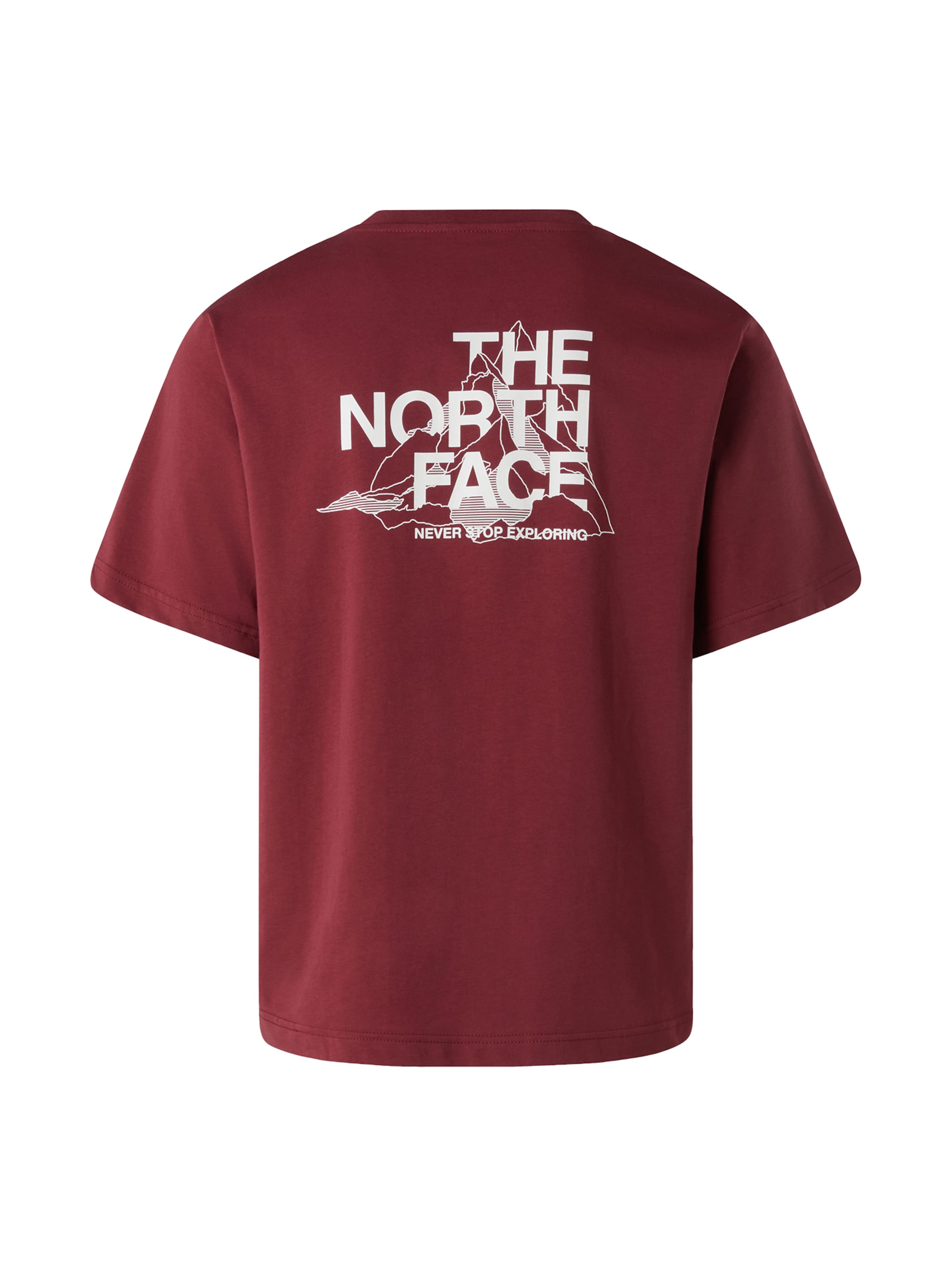 Maglietta 'M MOUNTAIN SKETCH SS TEE  RELAXED' di THE NORTH FACE in rosso