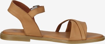 ILC Sandalen met riem in Bruin