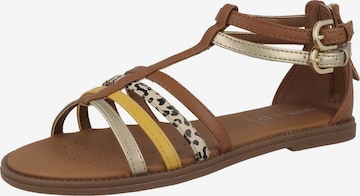 GEOX Sandalen 'Karly' in Bruin: voorkant