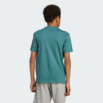 ADIDAS SPORTSWEAR Functioneel shirt in Groen