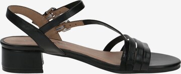 CAPRICE Strap sandal in Black