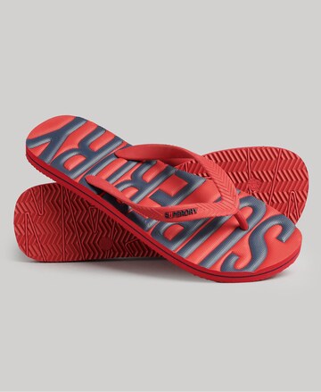 Superdry Teenslippers in Rood