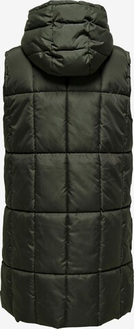 JDY Bodywarmer 'DAISY' in Groen