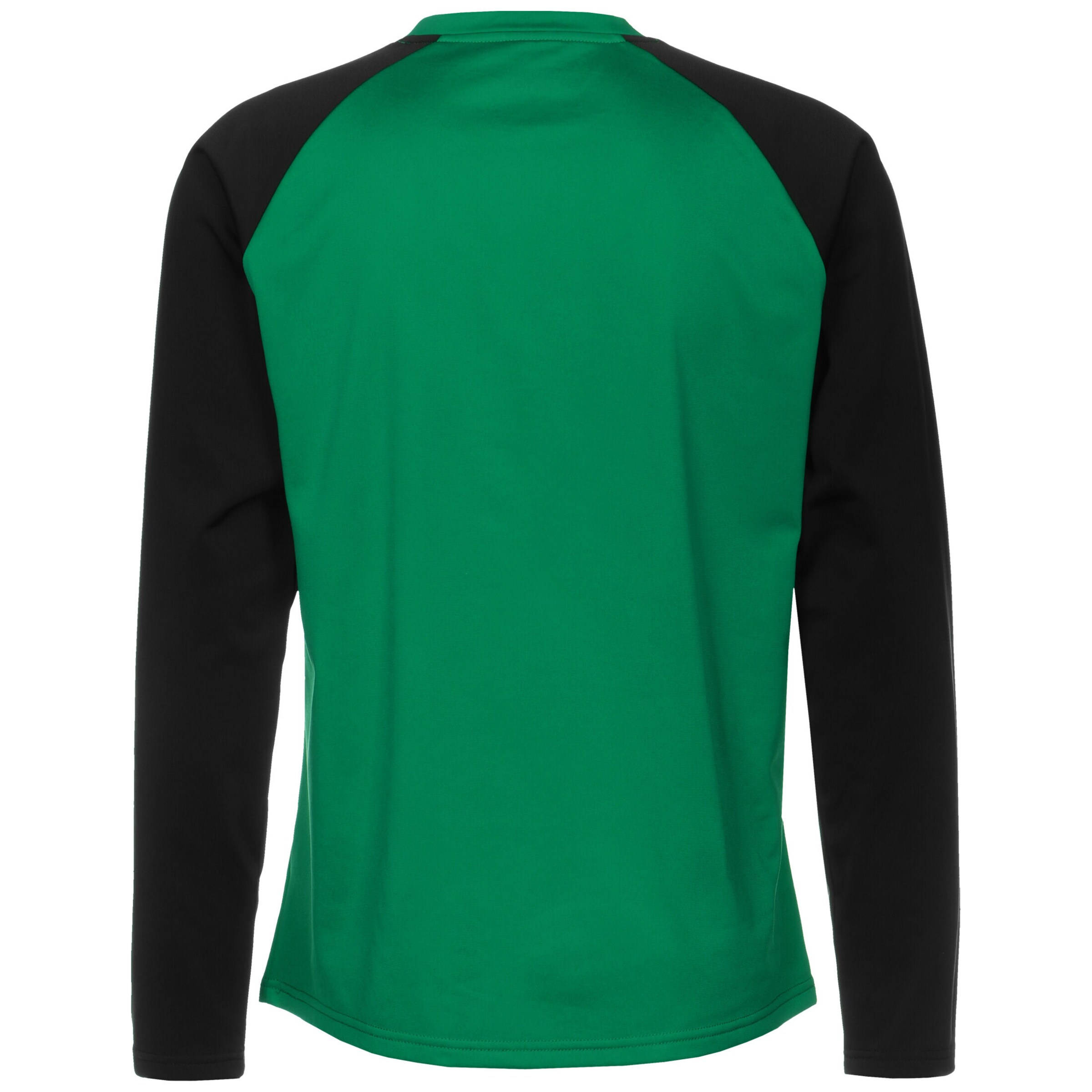 PUMA Funktionsshirt 'Team Liga' in Grün