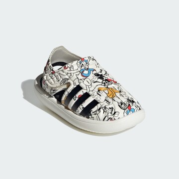 ADIDAS SPORTSWEAR Athletic Shoes in White