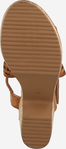 FELMINI Strap Sandals in Brown