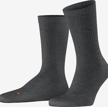 FALKE Socks 'Run Rib Crew' in Grey: front