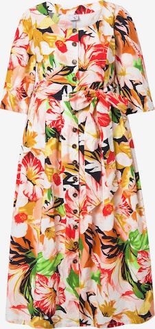 Ulla Popken Blusenkleid in Mischfarben: Vorderseite