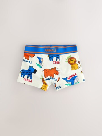 Pantaloncini intimi di Next in blu