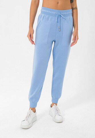 Jimmy Sanders Tapered Workout Pants in Blue: front