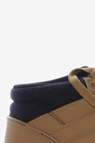 Champion Sneakers & Trainers in 43 in Brown