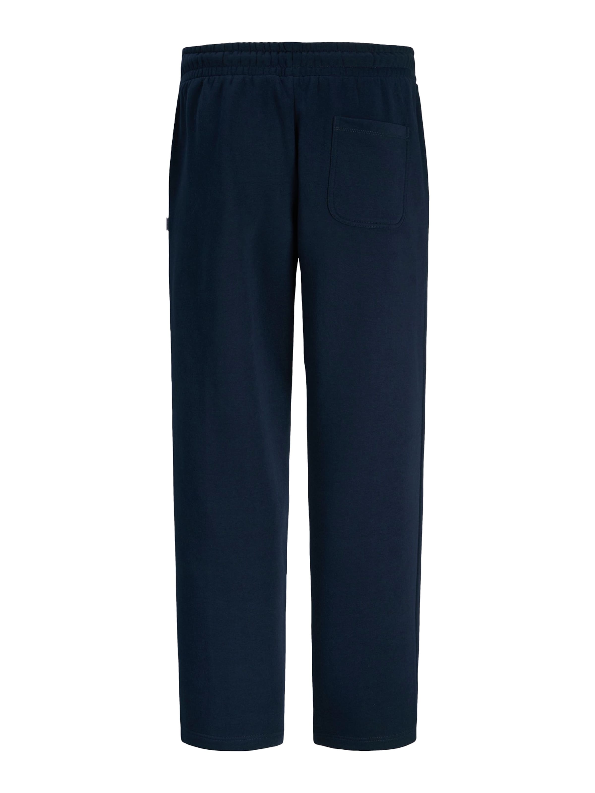 JACK & JONES Loose fit Trousers 'JPSTKARL BRADLEY' in Blue