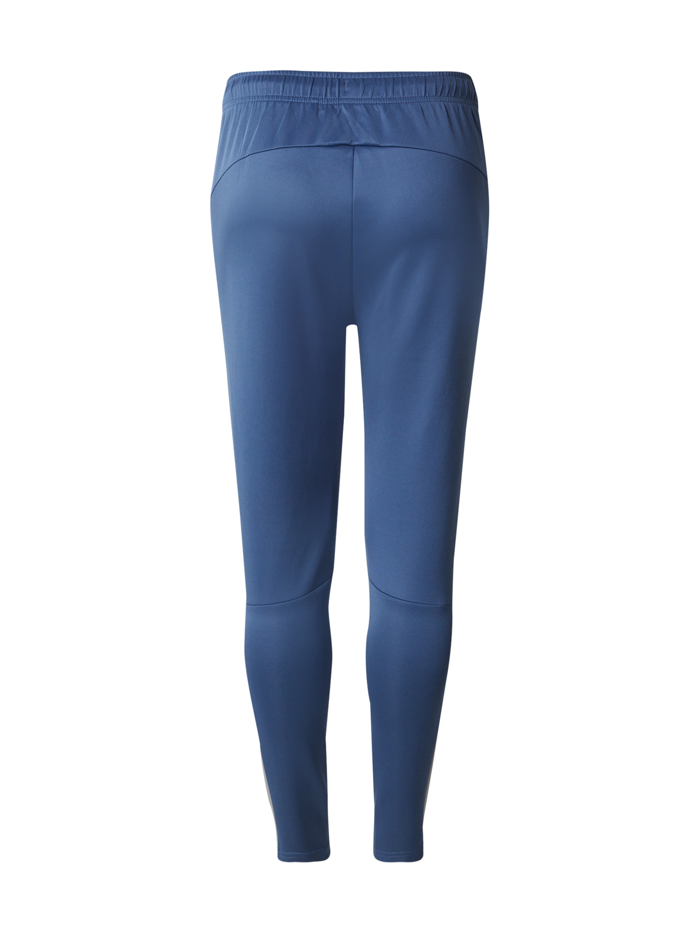 4F Обычный Спортивные штаны в Синий: сзади