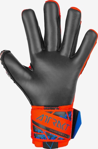 REUSCH Sporthandschoenen 'Attrakt Duo' in Blauw