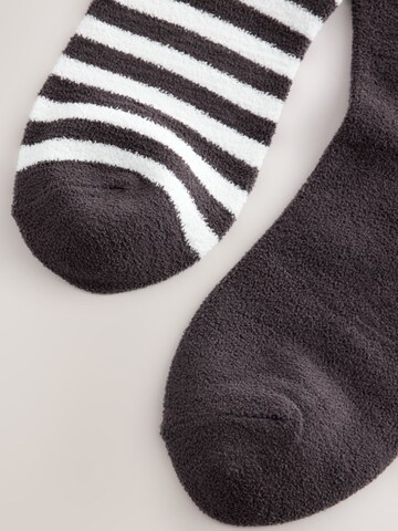 Next Socks in Brown