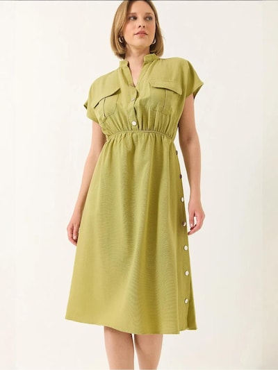 Bianco Lucci Jurk in de kleur Appel, Productweergave