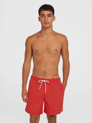 O'NEILL Swimming shorts 'Vert 16' in Red: front