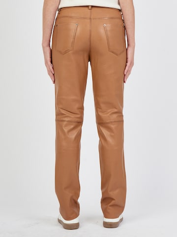 JCC Regular Hose in Braun