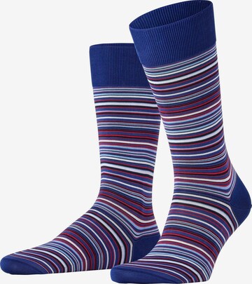 FALKE Socken 'Microblock' in Grau: Vorderseite