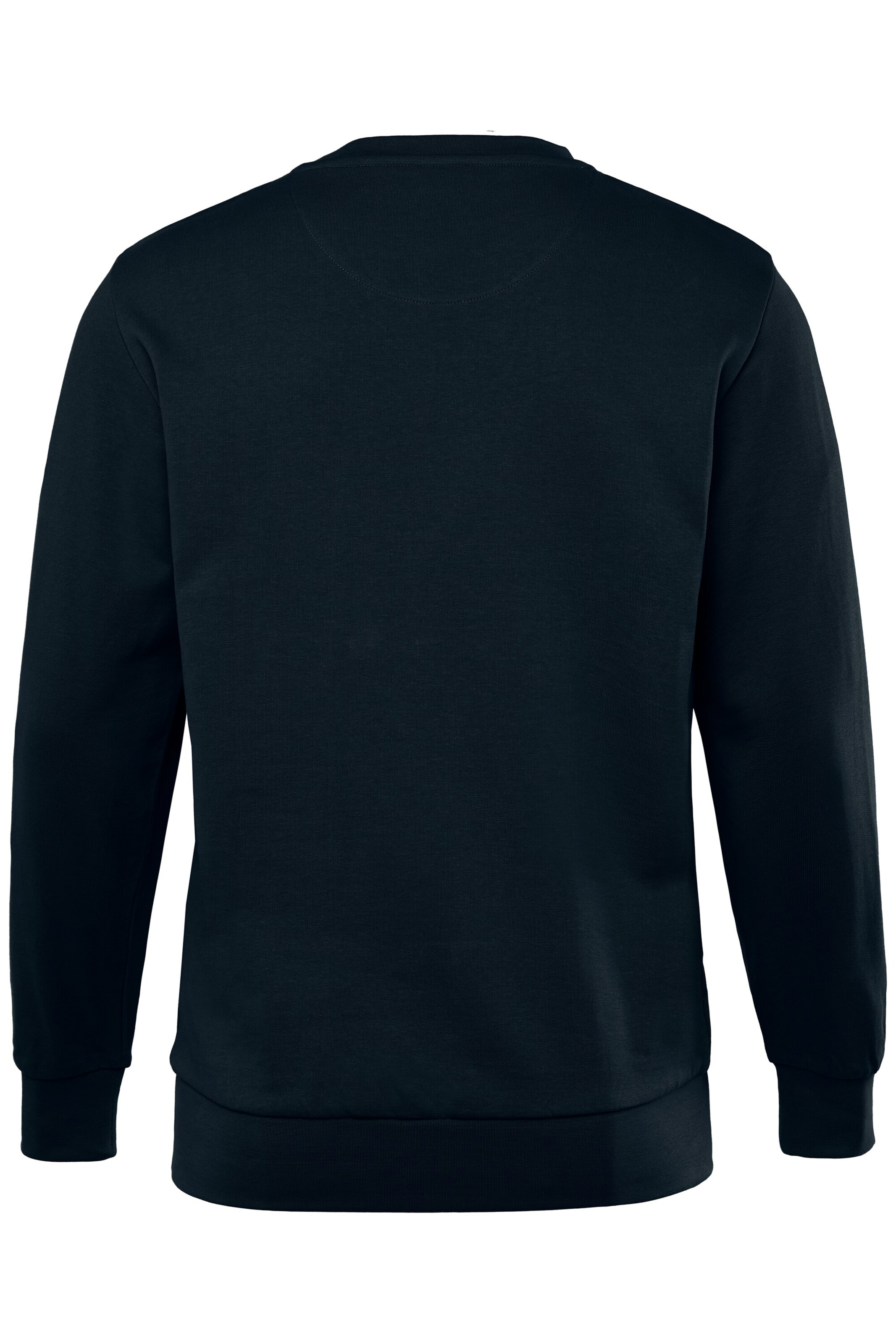 Men Plus Sweatshirt in Blue