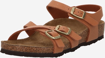BIRKENSTOCK Open shoes 'Kumba' in Brown: front