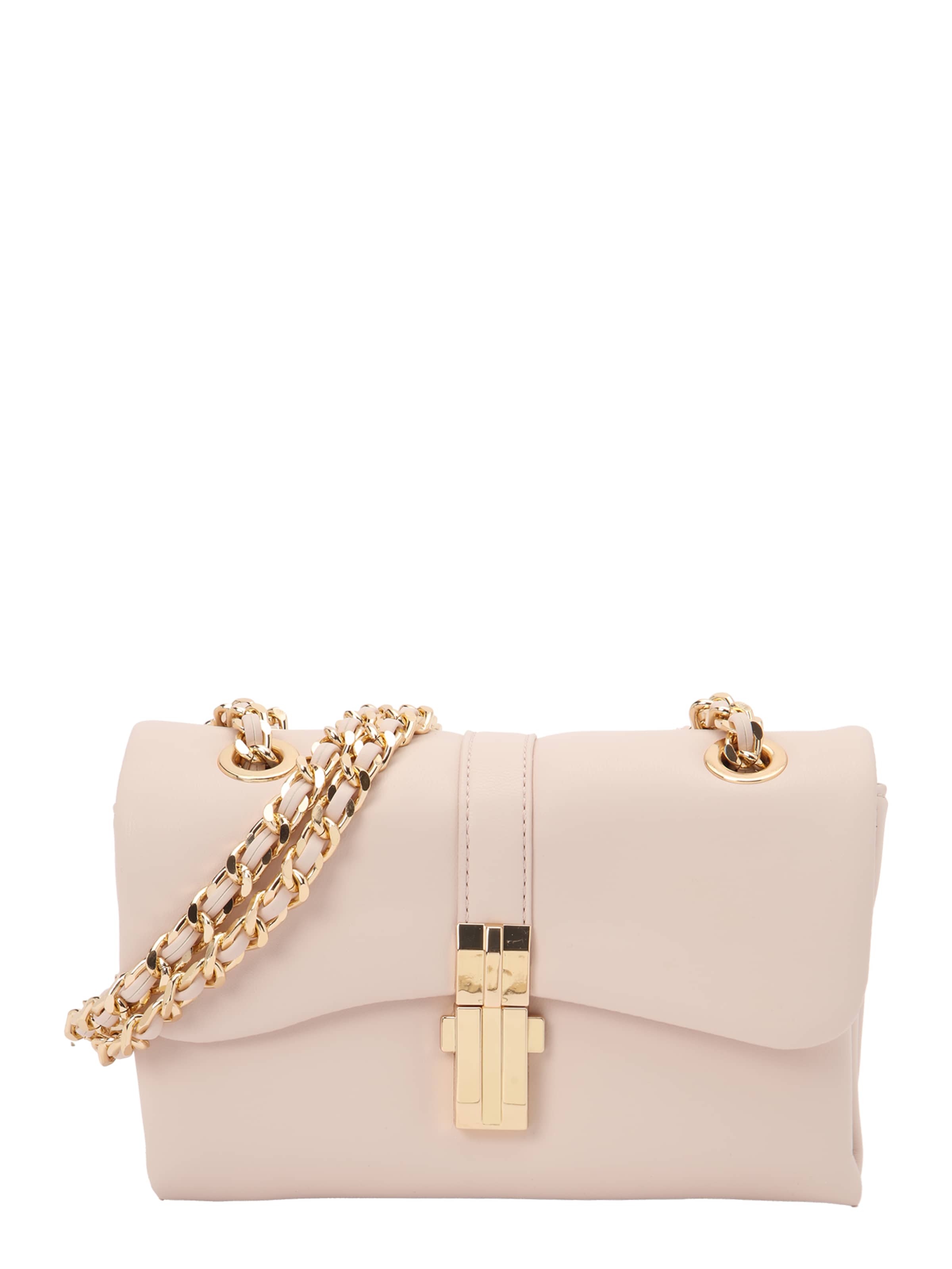 ALDO Чанта с презрамки 'ALICIE' в розово: отпред