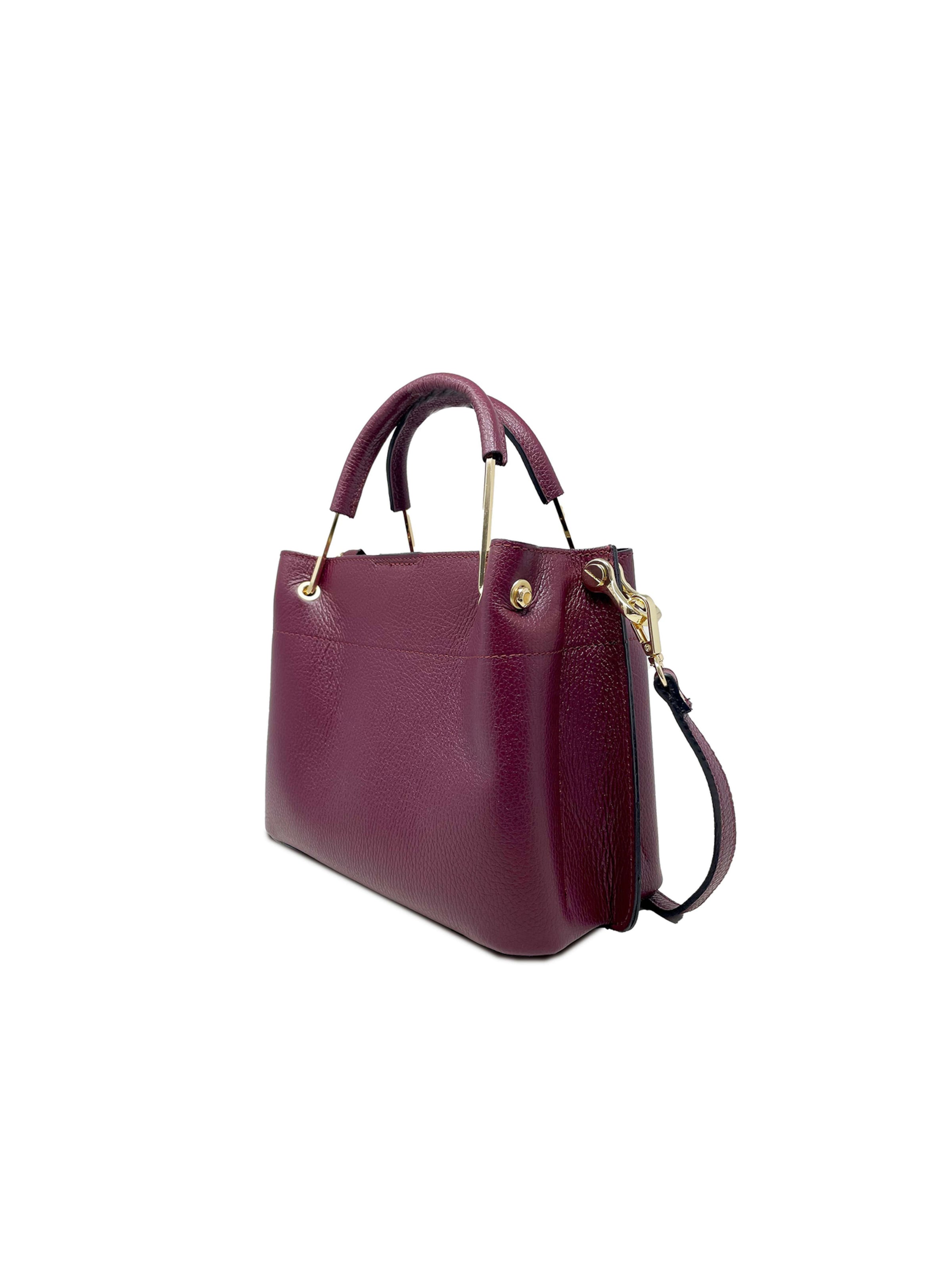 CHICCA BORSE Handbag in Red