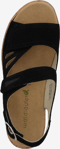 WALDLÄUFER Sandals 'Wiebke' in Black