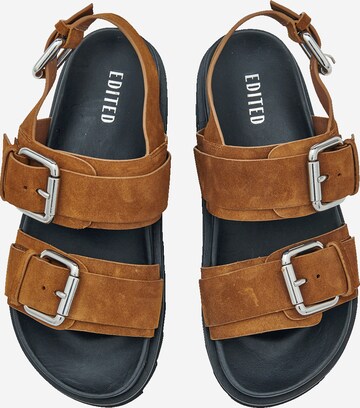 EDITED Sandal 'Benazir' in Brown