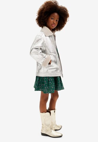 Desigual Winter Jacket in Silver