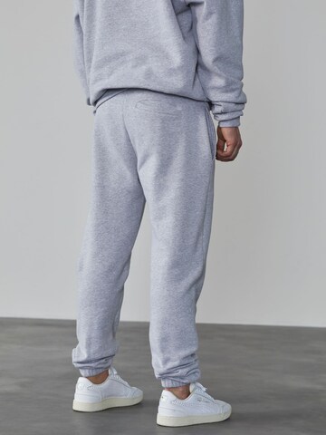 Tapered Pantaloni 'Danilo' di DAN FOX APPAREL in grigio
