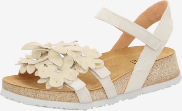 Sandales 'Koak' THINK! en beige : devant