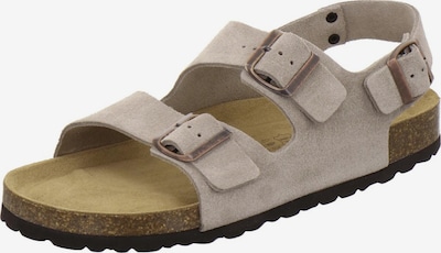 AFS-Schuhe Sandale 'Sandalen Herren quarz Veloursleder' in 40 in dunkelbeige, Produktansicht