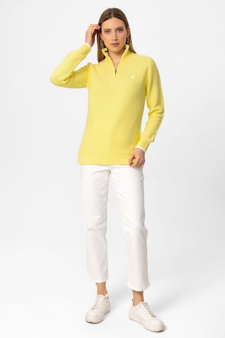 DENIM CULTURE - Pullover 'DINA' em amarelo: frente