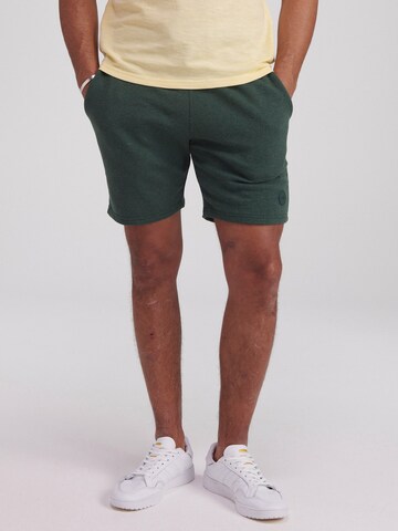 regular Pantaloni di Shiwi in verde: frontale